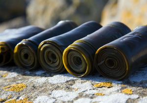 Эффект водорослевого обертывания в домашних условиях