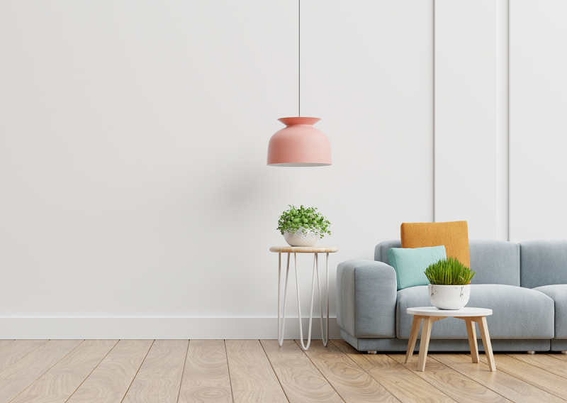 Комнатные растения: куда их поставить, чтобы почувствовать себя лучше